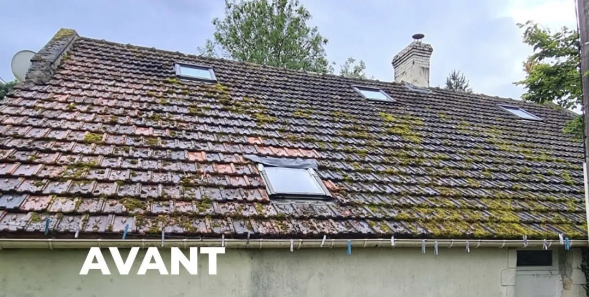 Ancienne toiture en tuiles couverte de mousse avec fenêtres de toit, avant rénovation, couvreur à Vimoutiers